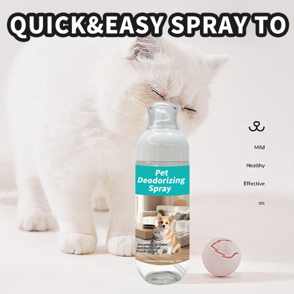 Eco-Friendly Plastic Pet Dishwashing Mousse