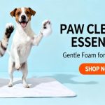 10Pcs Individually Wrapped Dog Wipes - Portable Travel Size - Image 4