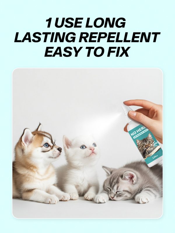 Natural Cat Repellent Spray Safe for Pets and Furniture3