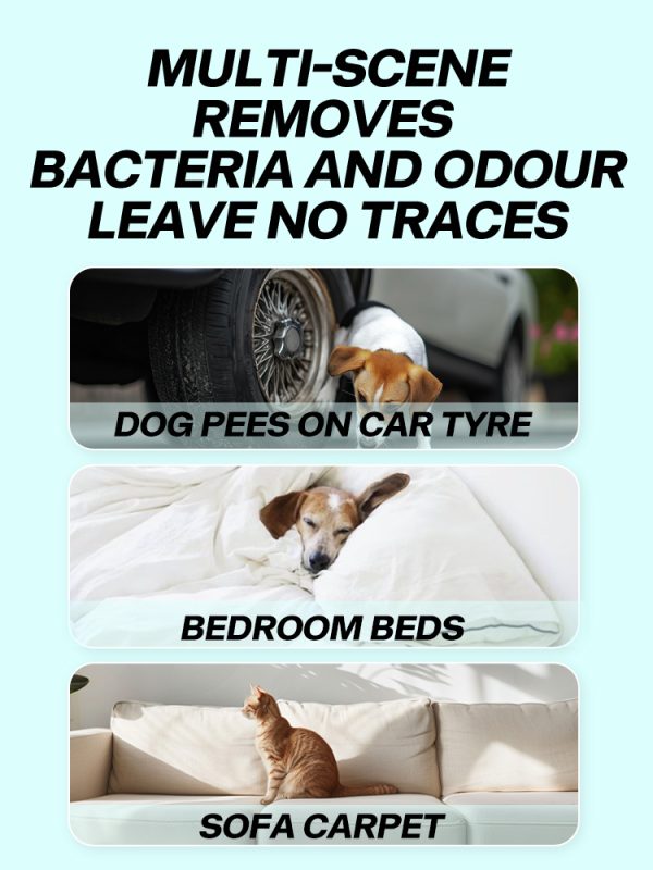 Natural Cat Repellent Spray Safe for Pets and Furniture5jpg