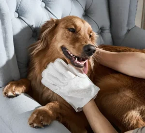 dog wipes dog dental wipes