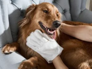 Hypoallergenic Pet Wipes