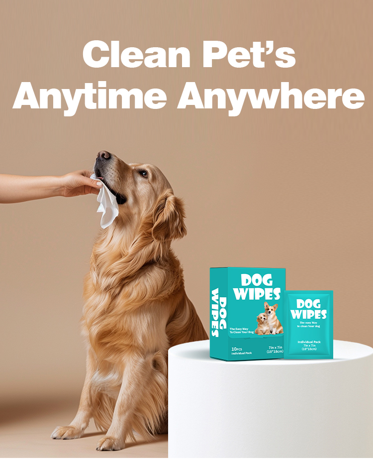 10Pcs Individually Wrapped Dog Wipes - Portable Travel Size - Image 2