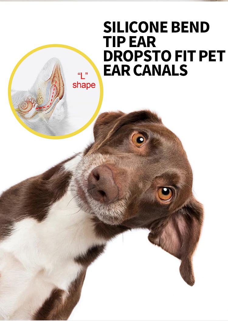 Pet Health Care Supplements Eye Drop Liquid Drops - Image 5