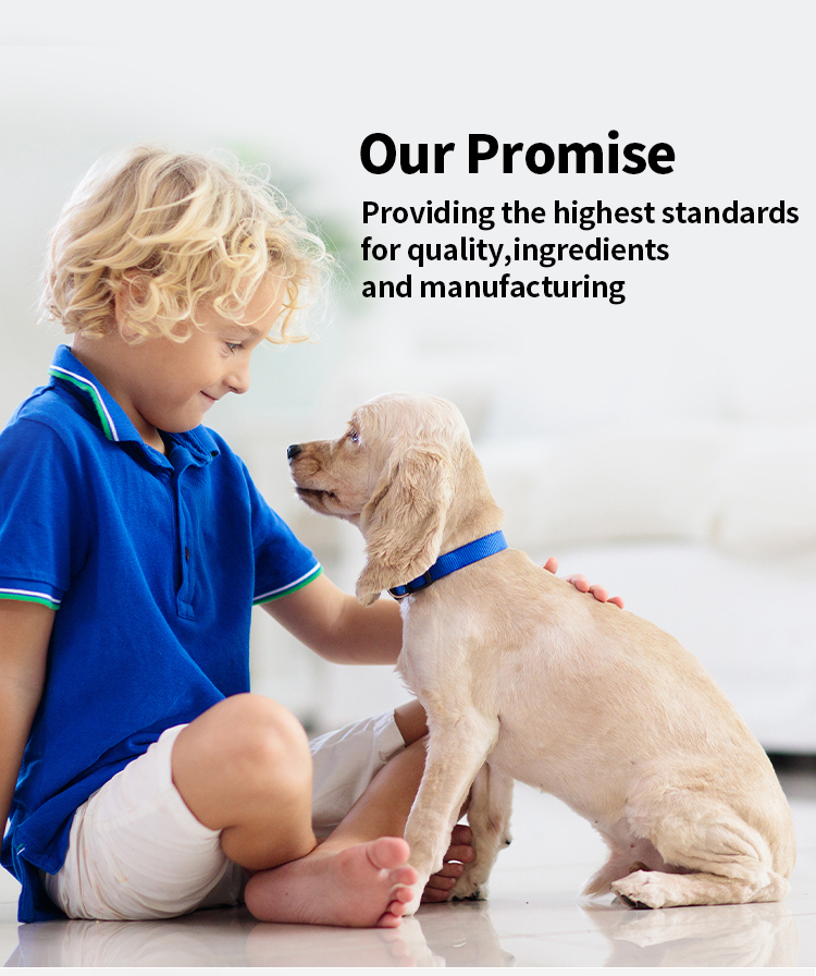Pet Health Care Supplements Eye Drop Liquid Drops - Image 6