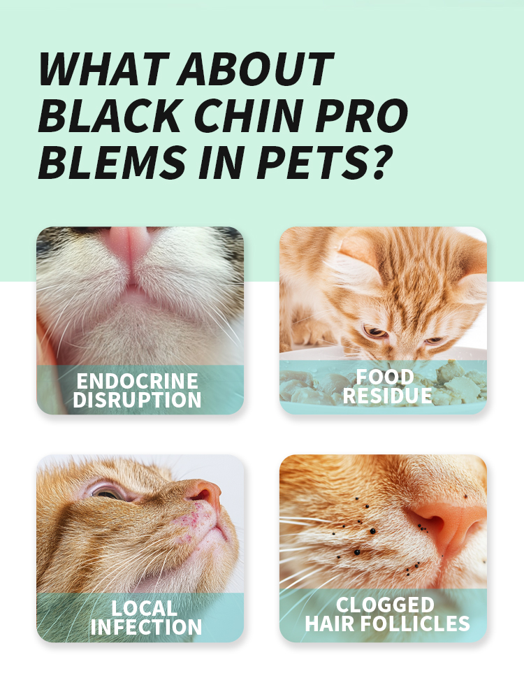Cat Chin Blackhead Cleaning Wipes for Cats - Image 3
