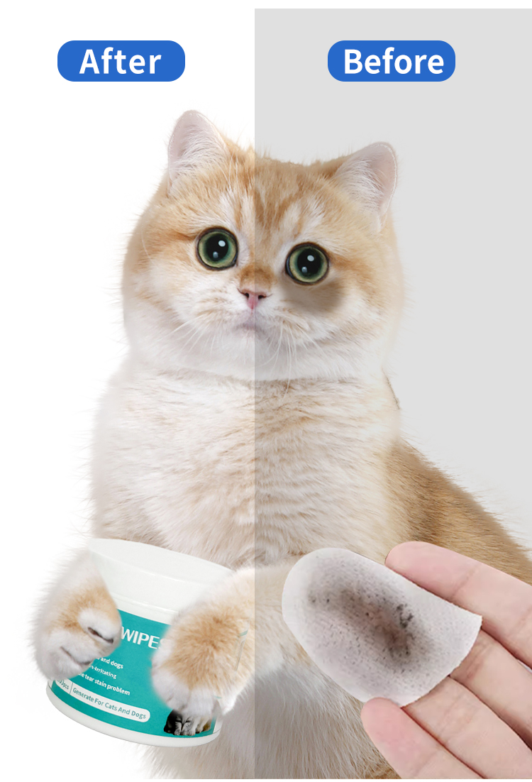 Best Pet Eye Wipes: Safe Tear Stain Remover For Dogs And Cats - Image 4