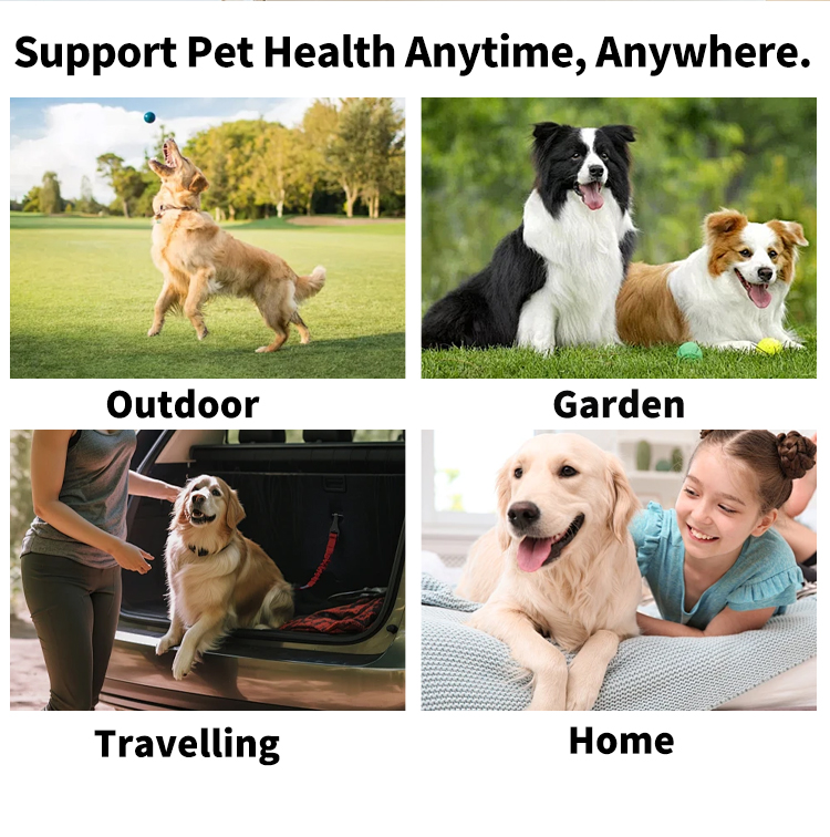 Pet Wipes Cat Dog Circle Wipes for Cleaning Eyes - Image 8