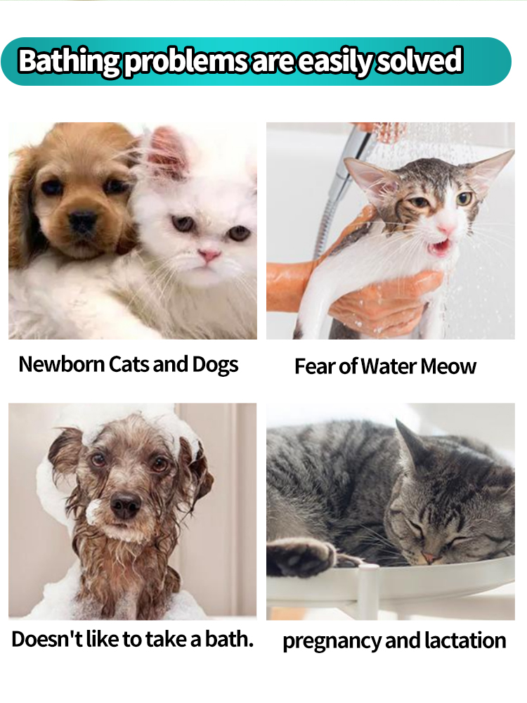 Single-Use Pet Grooming Glove Wipes – Paw Fur & Body Clean - Image 4