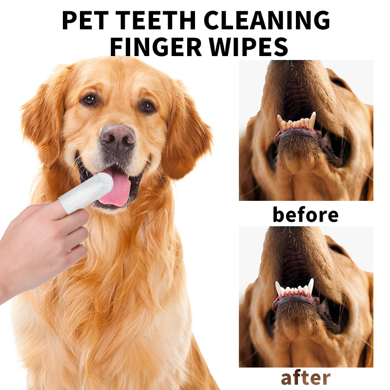 Pet Dental Finger Wipes