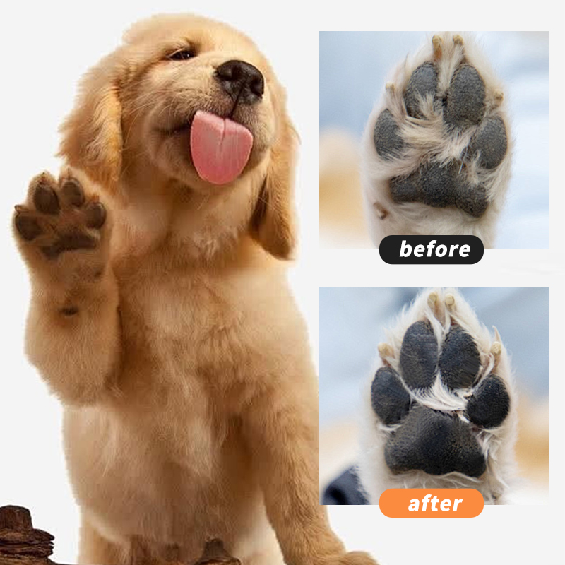 No-Rinse Pet Paw Cleaner Foam