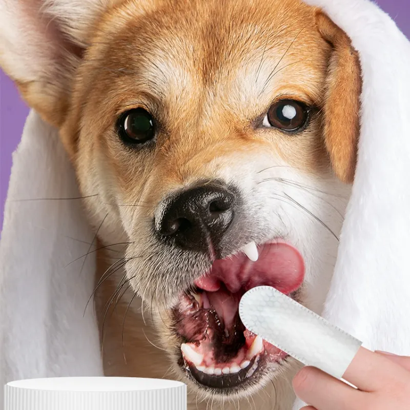 Large Green Pet Dental Wipes Teeth Cleaning amp Fresh Breath - Image 2