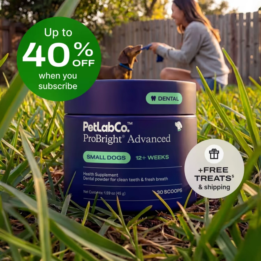 PetLab Co. ProBright Advanced Dental Powder – Best for Multi-Action Care