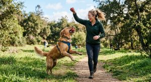 Clean Dog’s Teeth: What Can You Use?