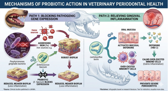 mechanisms of probiotic action in veterinary periodontal health