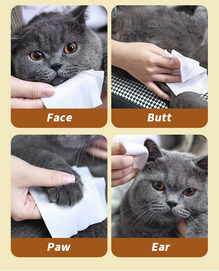 Pet wies