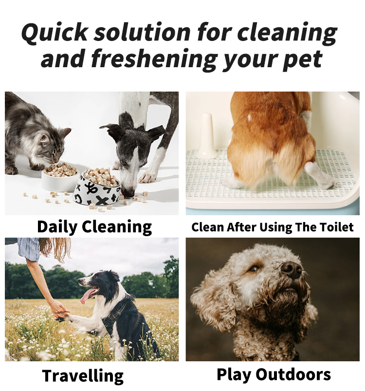 Pet wies