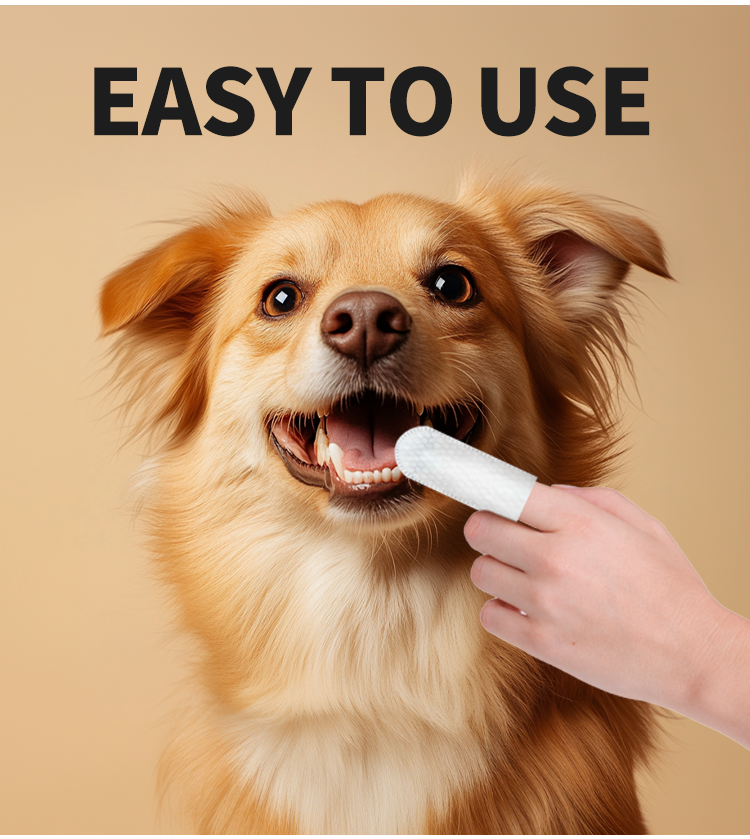 Large Green Pet Dental Wipes: Teeth Cleaning & Fresh Breath