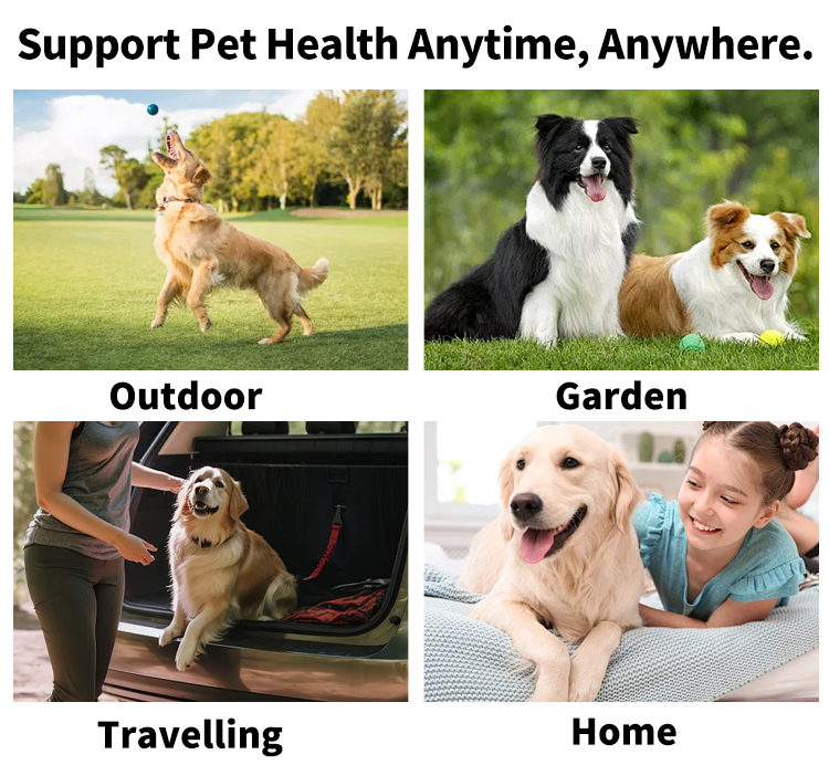 Large Green Pet Dental Wipes: Teeth Cleaning & Fresh Breath