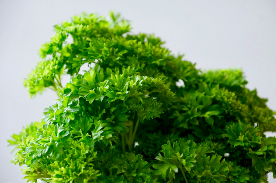 Curly parsley