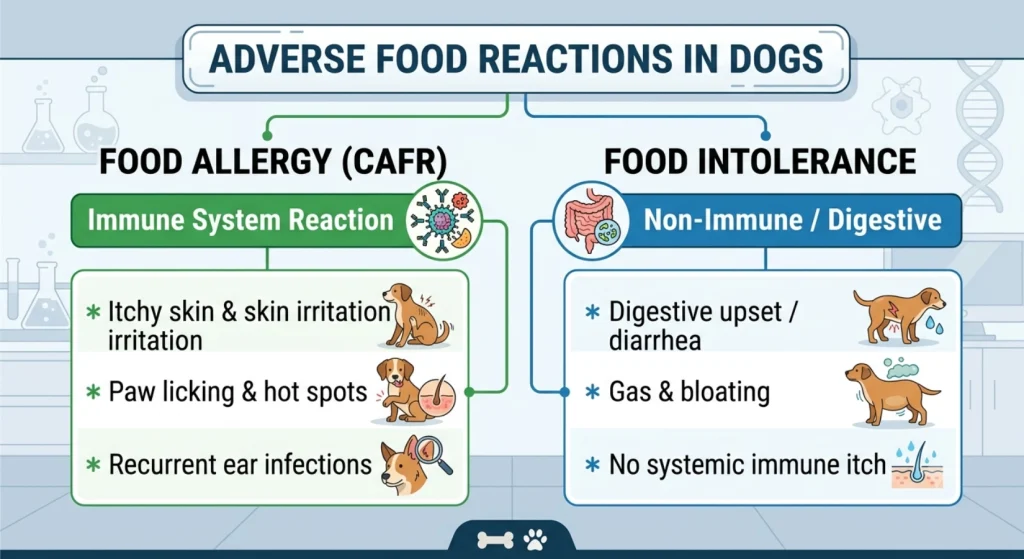 ADVERSE FOOD REACTIONS IN DOGS
