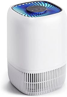 HEPA Air Purifiers + Activated Carbon