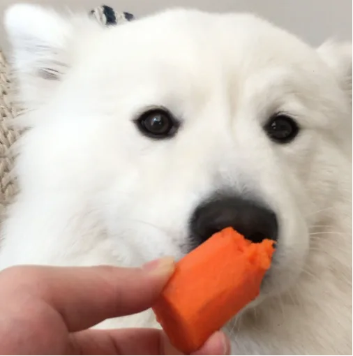 using food for gentle physical chewing
